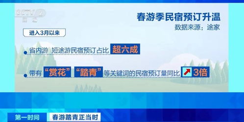 春暖花開時，三大潮流打卡新選擇 花海、民宿與山地戶外運(yùn)動