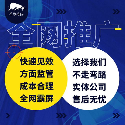 精誠所至，金石為開 上海牛推信息推廣公司網絡技術開發之路