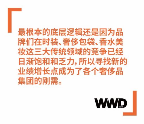 軟奢品牌跨界硬奢 品牌管理中的機遇與挑戰(zhàn)