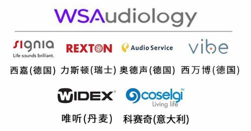 世界五大聽(tīng)力集團(tuán)技術(shù)優(yōu)勢(shì)與產(chǎn)品系列解析 如何選擇最適合的助聽(tīng)器品牌？
