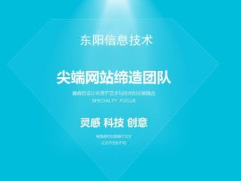 東陽信息技術 引領成都網站建設與網絡推廣的專業力量